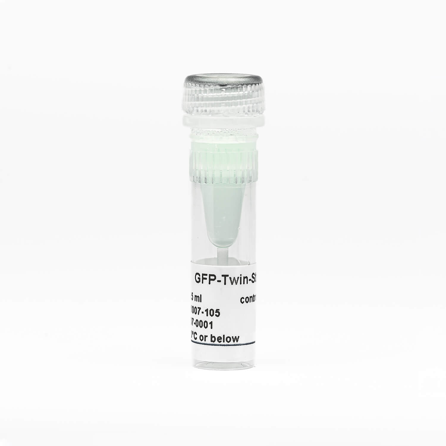 GFP-Twin-Strep-tag control protein GFP-Twin-Strep-tag control protein