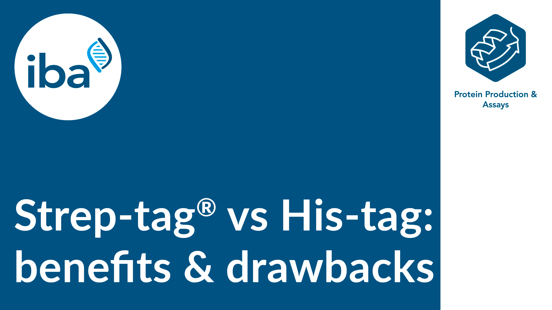 Benefits of Streptag® vs Histag purification