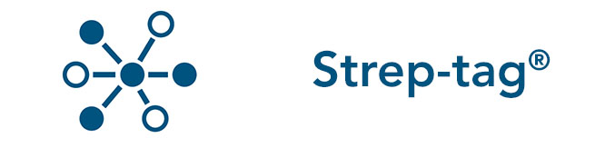 Strep-tag system category icon Strep-tag system category icon