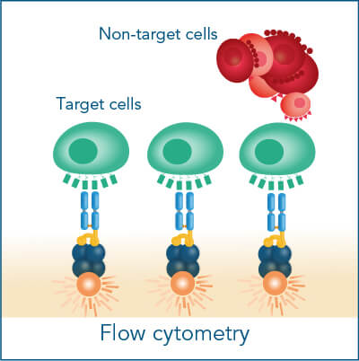 Cell staining flow cytometry Flow cytometry step