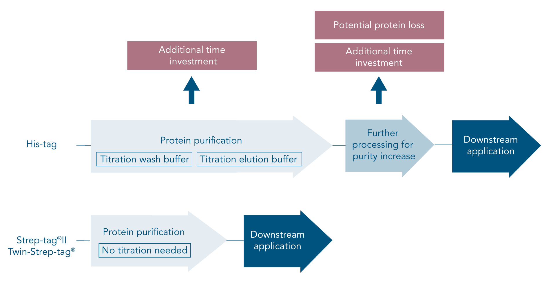 Workflow purification to downstream applications with his-tag vs strep-tag Workflow purification to downstream applications with his-tag vs strep-tag