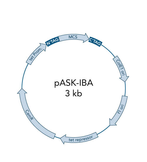 pASK-IBA4C vector