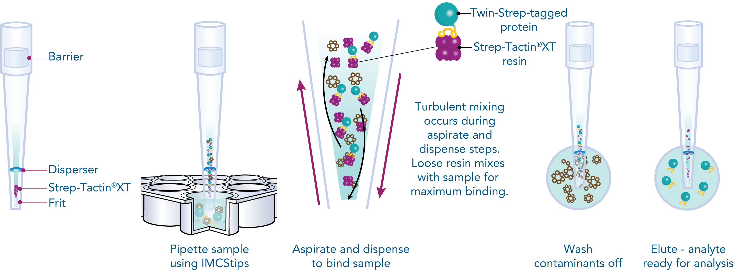 Protein purification with IMSCTips workflow Protein purification with IMSCTips workflow
