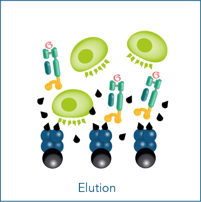 Elution of reagents Elution of reagents for label-free cell isolation