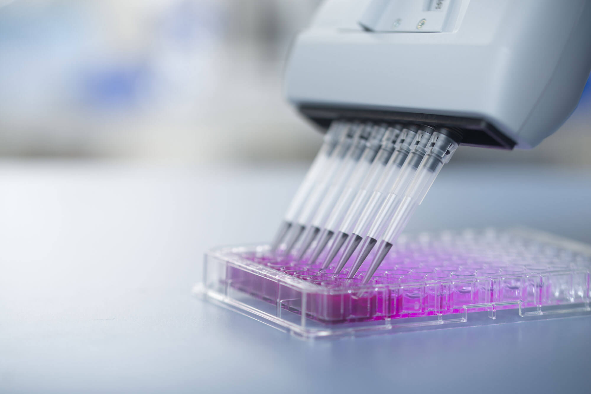 Original Strep-tag technology for early lead discovery to large-scale protein production Original manufacturer strep-tag twin-strep-tag protein purification