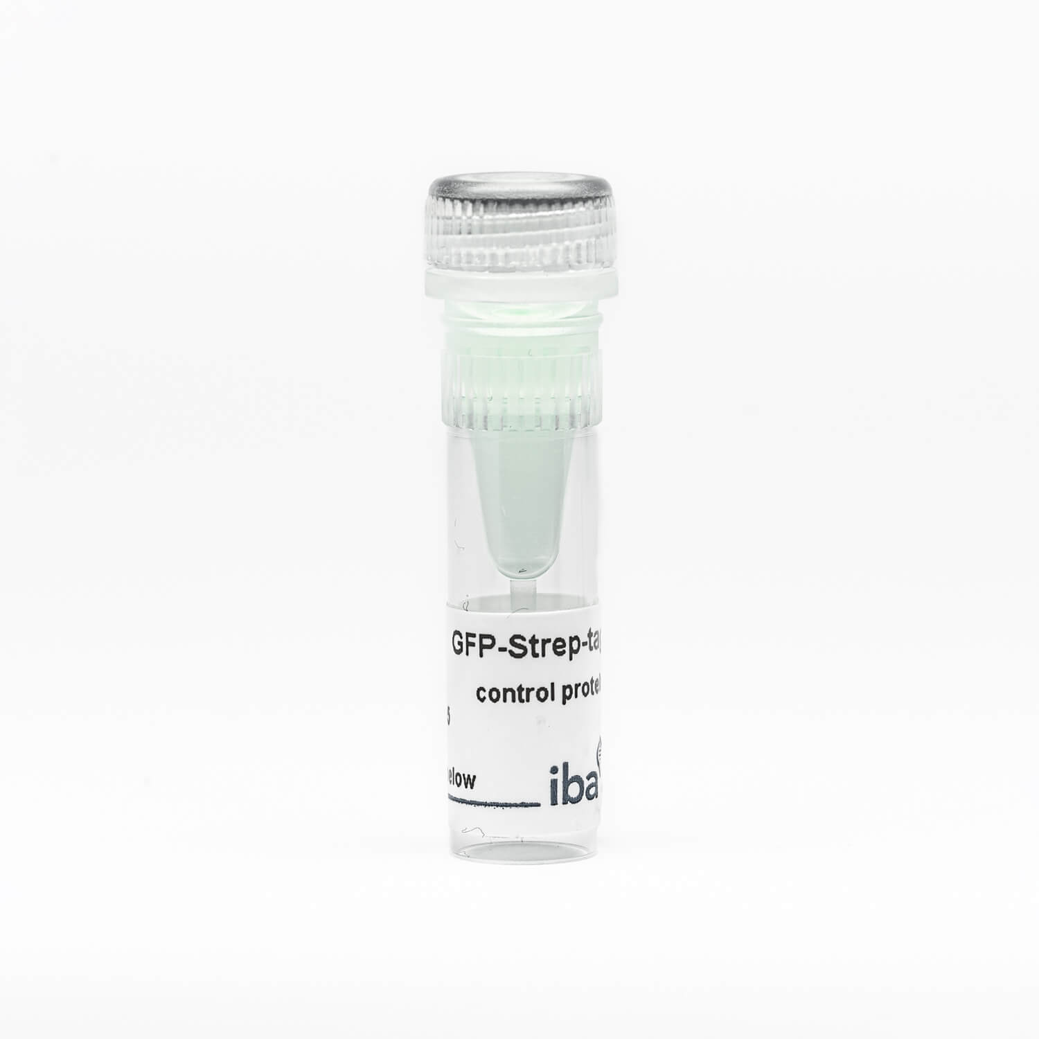 GFP-Strep-tag®II control protein