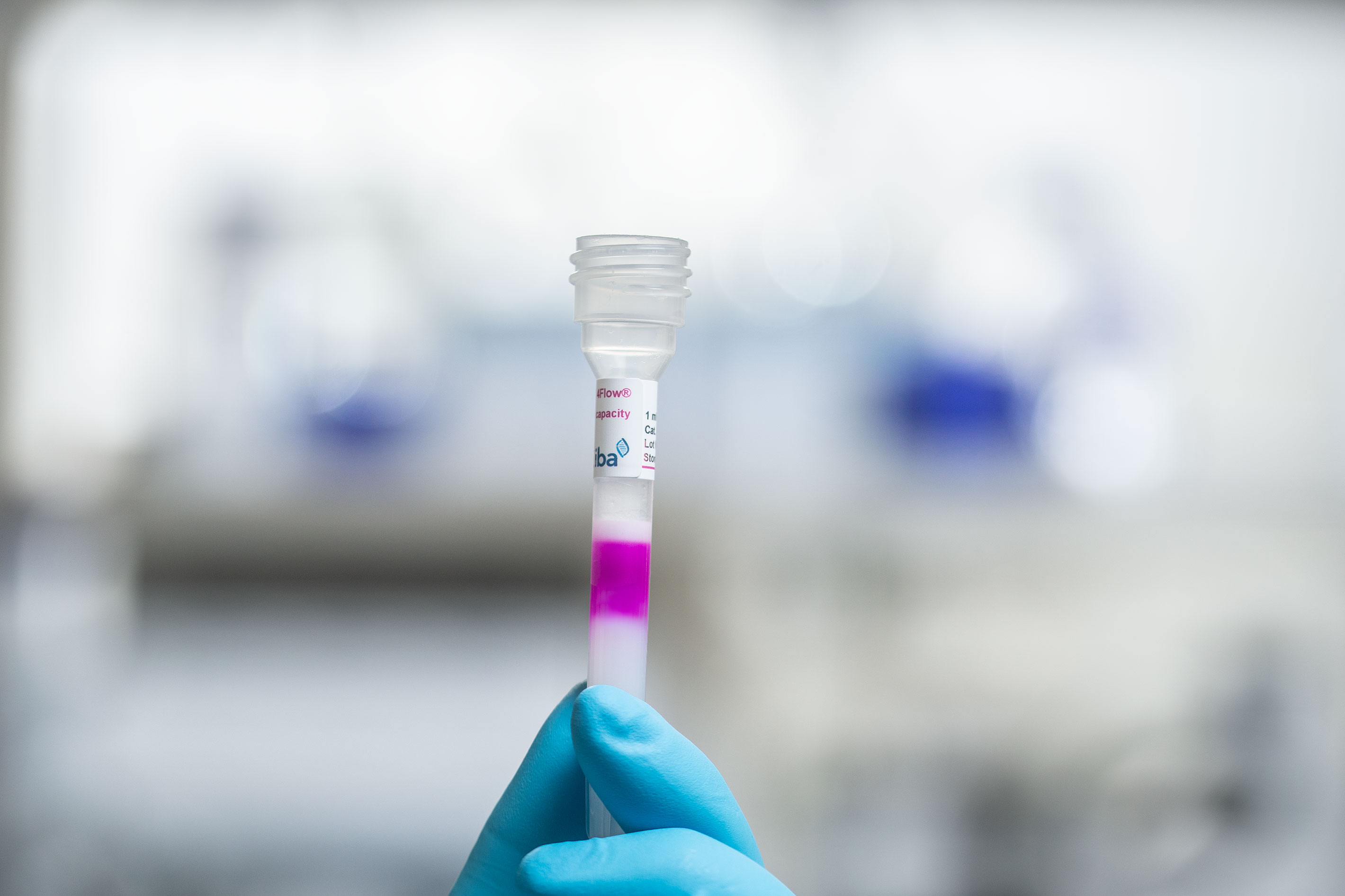 Original Strep-Tactin®XT Twin-Strep-tag® protein purification Strep-TactinXT twin-strep-tag protein purification