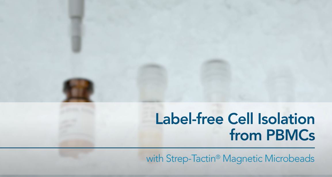 Thumbnail for magnetic cell isolation how-to video