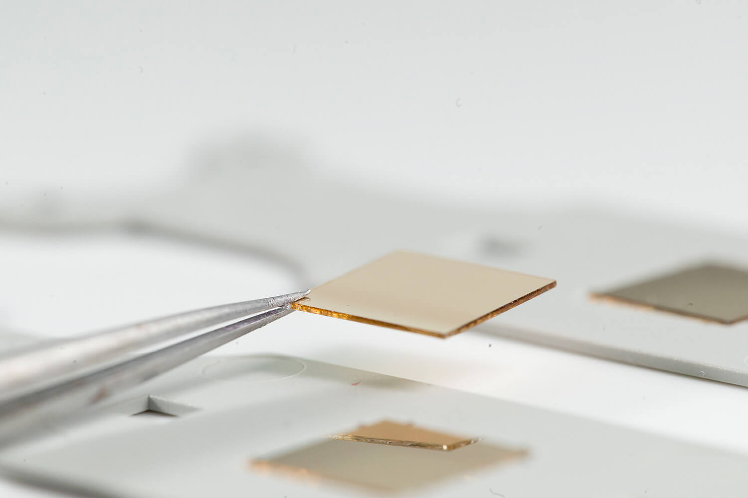 Surface plasmon resonance SPR sensor chip with gold layer