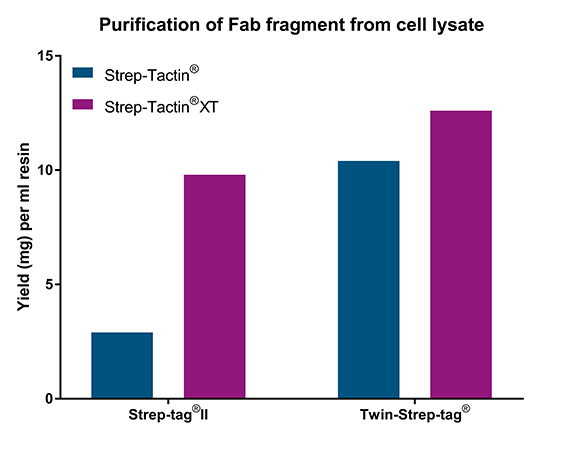 High affinity purification with Strep-Tactin®XT